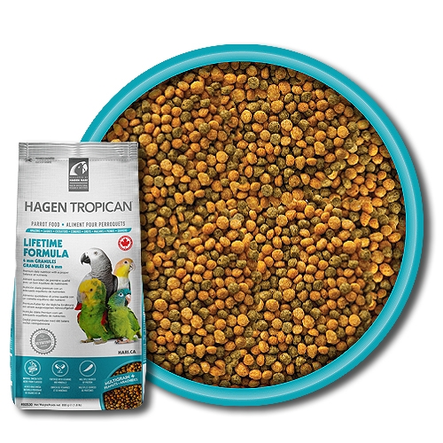 Tropican parrot food new arrivals