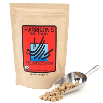 harrison's power treats